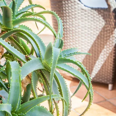 Costazzurra Grottammare